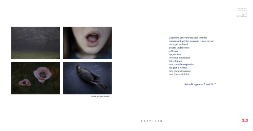 Studio Plume / Poeticon - Photographies d'Anne-Sophie Costenoble
